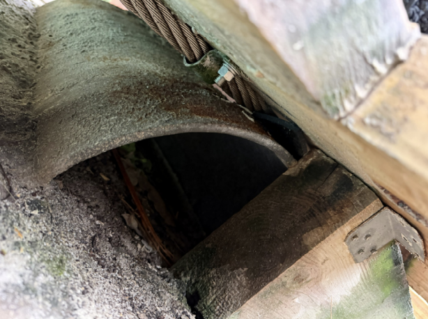Timber Piling & Dock Inspection 2